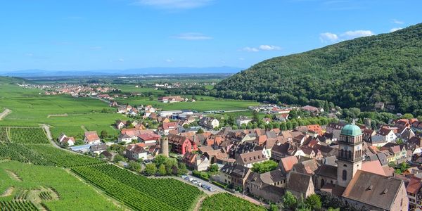 The rolling hills of the local grape vines as they work in perfect symmetry with centuries old towns.