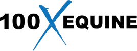 Blue stylized letter X on a white background.