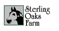 Logo featuring a horse head with text 'The Long Riders' Guild'.