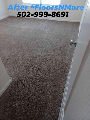 After Steam cleaned pet treatment