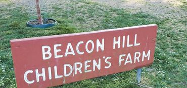 Beacon Hill Park