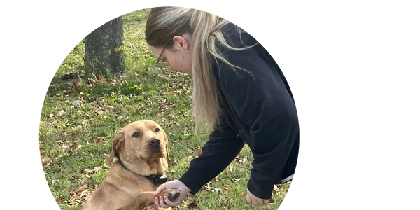 Azlin shaking hands with a dog