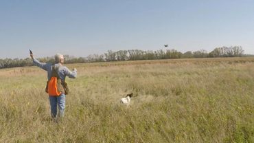Hunting dog training retrieval