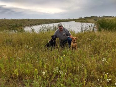 man with dogs in field