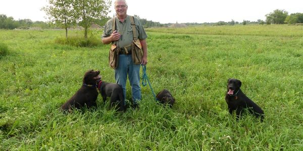 happy man with black dogs in grass