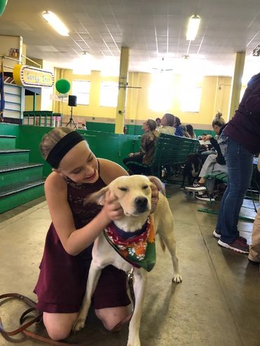 happy girl petting dog