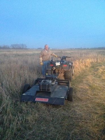 Hunting dog training fields