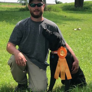 hunting dog for sale black lab