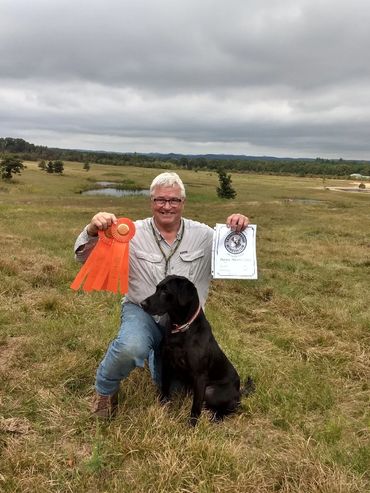 hunting gun dog with award ribbons