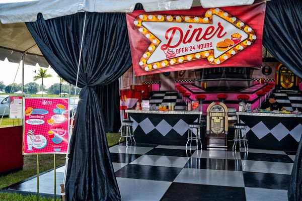 Aardvark Entertainment Themes and ideas.