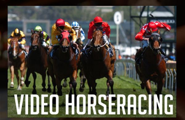 Video horseracing option