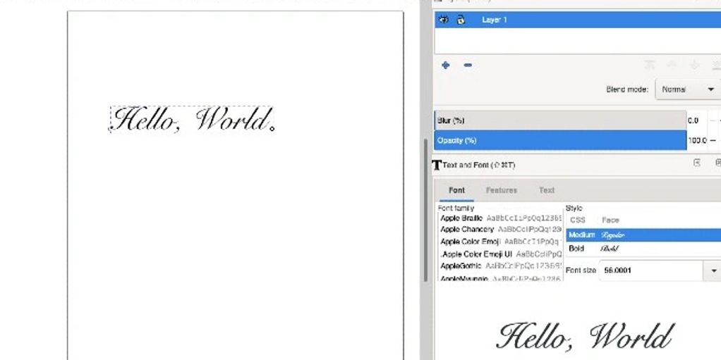 Versatile Font Support and Customization for Personalized Designs