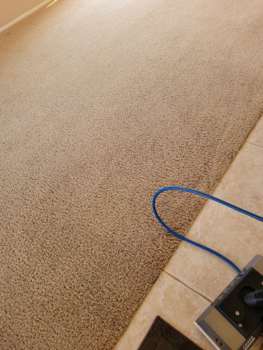 After "Hot Water extraction" cleaning