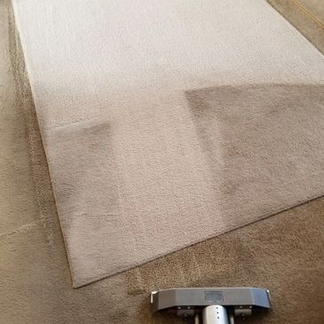 Best carpet cleaner Surprise