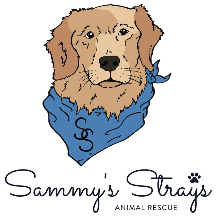 Sammy's Strays