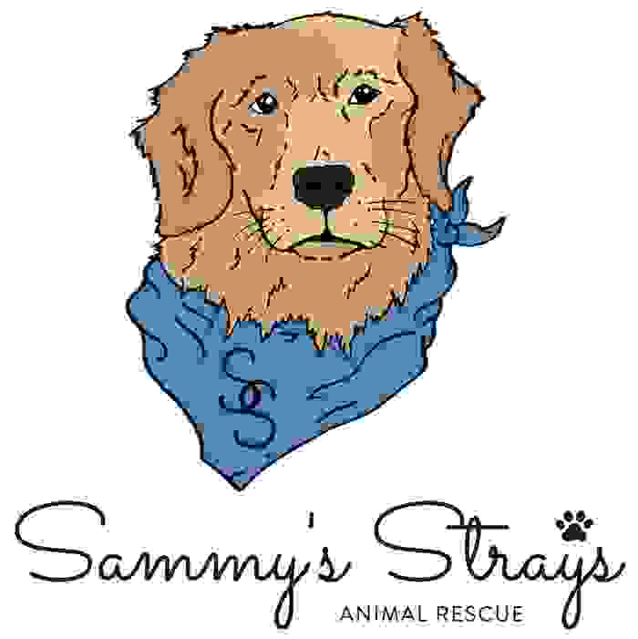 Sammy's Strays