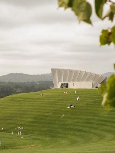 Modern architectural building on a grassy hill with birds.
