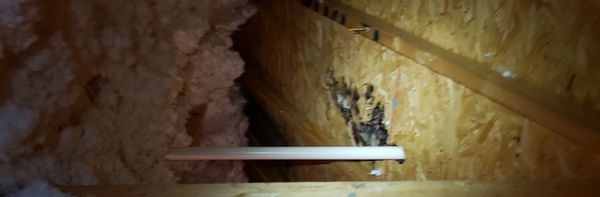 Rotted roof decking around roof pipe jack