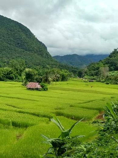 Pistes et rizières Raid 4x4 Thaïlande aventure voyage découverte piste rouge, tour en voiture