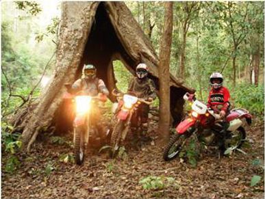 Raid moto enduro en Thaïlande. Trip Excursion découverte par pistes sauvages à travers jungle forêt