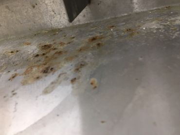 Dirty drain pain in Biological Safety Cabinet (BSC)