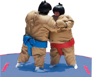 Sumo suits rentals great for after promos rent near Virginia rent near North Carolina Roanoke