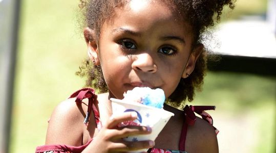 Snow machine rental Martinsville, Danville, Roanoke, Richmond, Peterburg, Hampton, Virginia Tech, VA