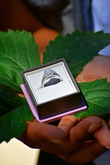 Engagement
Ring
Love
Fiancee