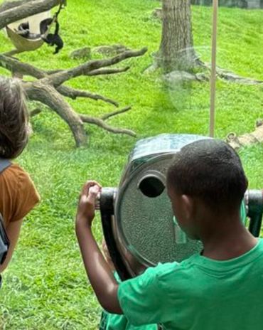 Children and adults watching monkeys in a zoo enclosure through glass.
