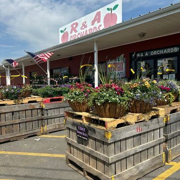 5505 GA-52, Ellijay, GA, United States, 30536