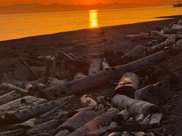 sunsets enjoying the beauty in silence