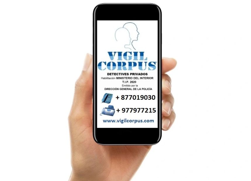 DETECTIVES JUICIO ABOGADOS PROCEDIMIENTO JUDICIAL VIGIL CORPUS