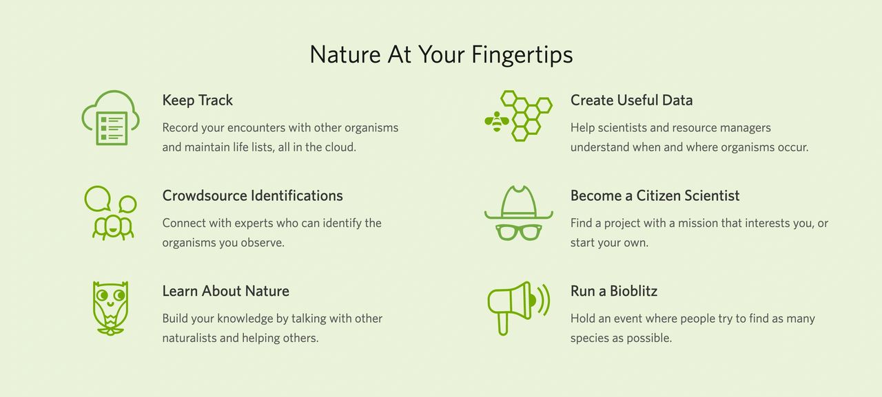 iNaturalist is a joint initiative of the California Academy of Sciences and the National Geographic Society. iNaturalist is a joint initiative of the California Academy of Sciences and the National Geographic Society.