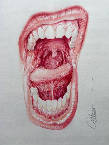 Living Out Loud, Color Pencil, 18x24