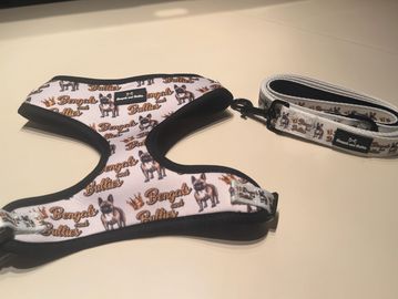 French Bulldog puppies for sale Maryland