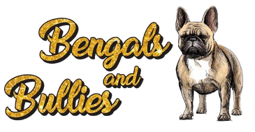 French Bulldog Breeder