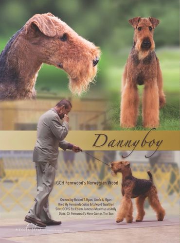 GCH Fernwood’s Norwegian Wood