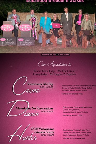 Bronze Grand Champion GCHB Victorianne Mr. Big