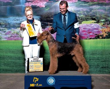 GCH Fernwood’s Norwegian Wood