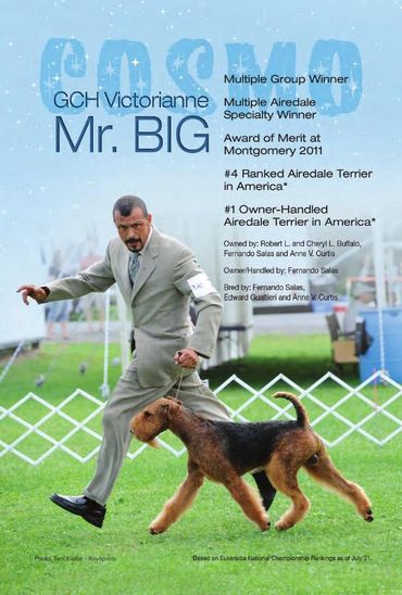 Bronze Grand Champion GCHB Victorianne Mr. Big