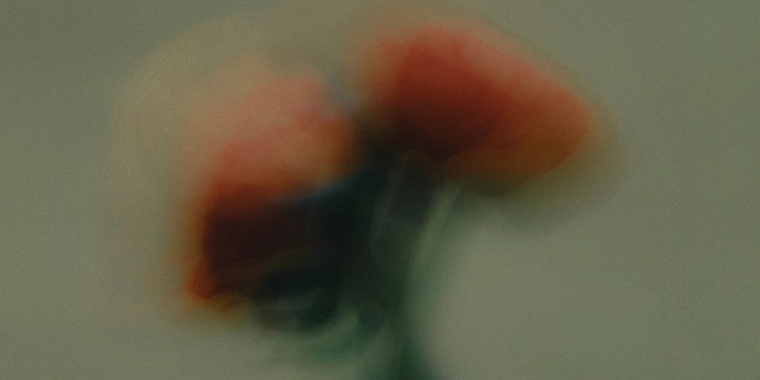Blurred image of orange flowers against a muted background.