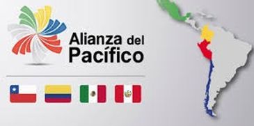 En SoftCapture desarrollamos soluciones digitales que transforman instituciones. Con enfoque en traz