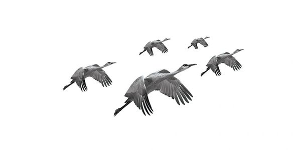 Beyond Product Book - marketing for startups