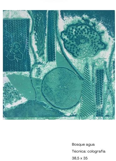 Técnica : Colografía
Serie : Hallazgos de bosque