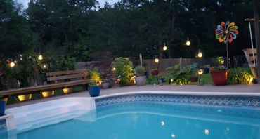 Flying around the back yard at twilight