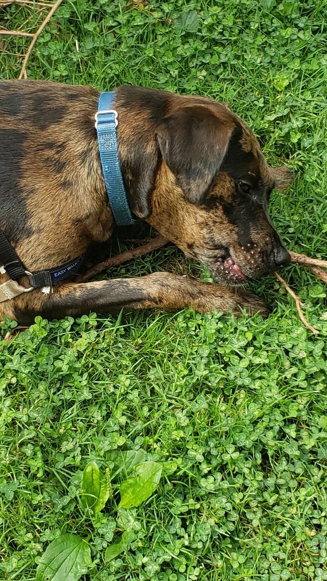 Its sticks or nothing!!