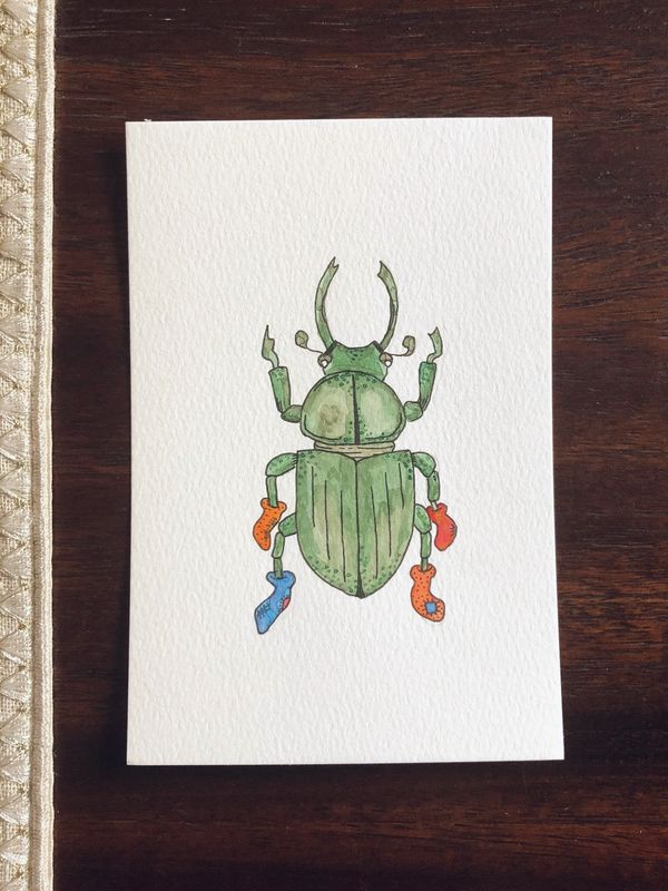 watercolor beetle wearing socks