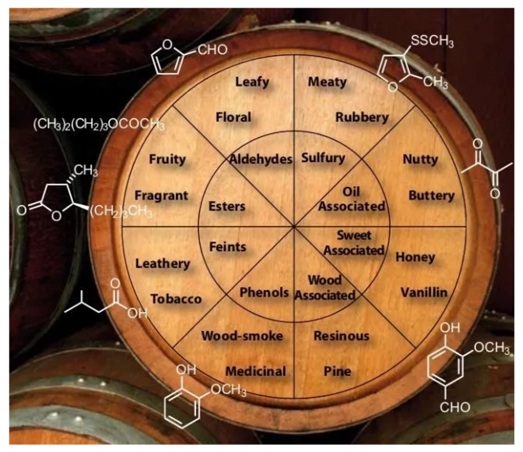 Flavor wheel