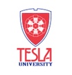 Tesla University