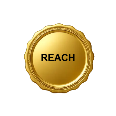 Gold medal with the word REACH